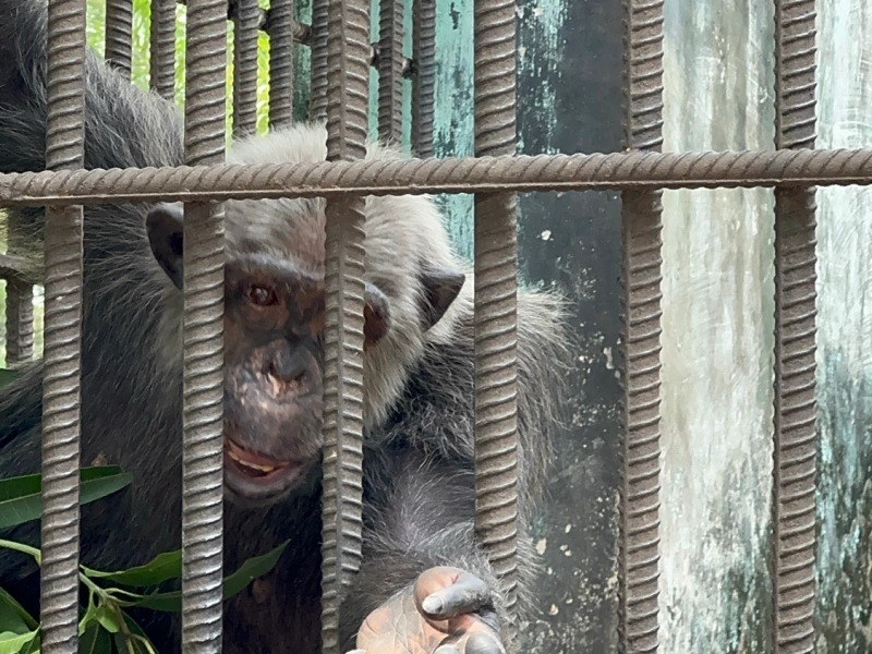 Le Jardin Botanique et Zoo de Kinshasa